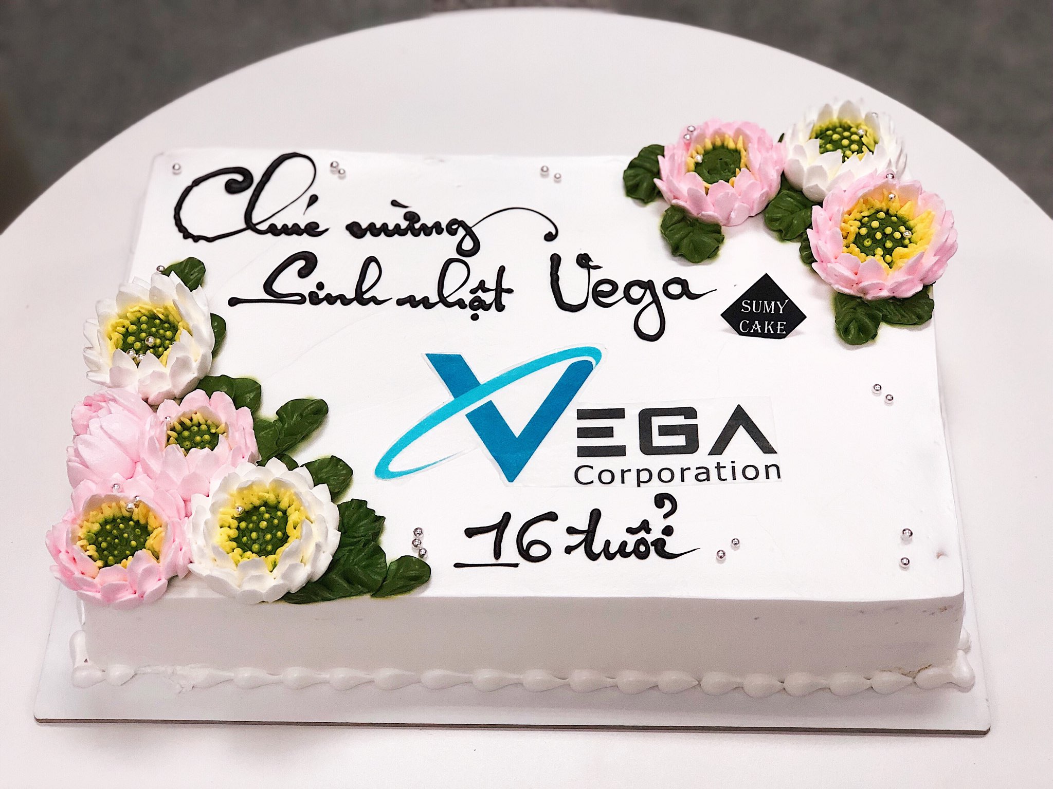 Tiệc sinh nhật Vega lần thứ 16 + Mừng những Vegiks đón sinh nhật vào tháng 6